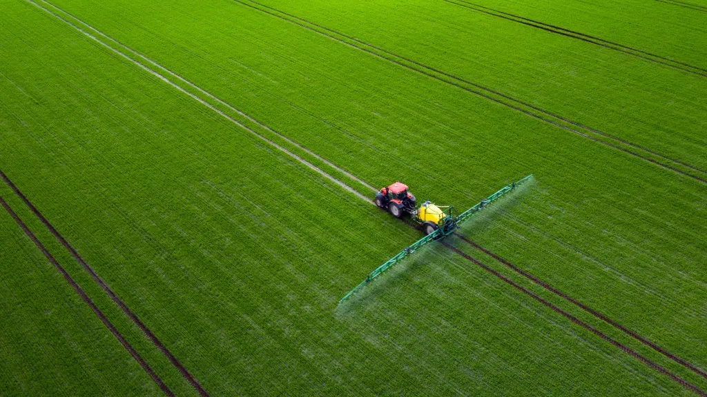 Pierwszy wiosenny zabieg grzybobójczy w rzepaku
